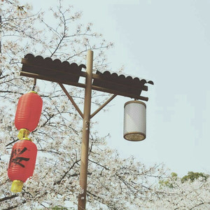 爱爱激情抽查视频
